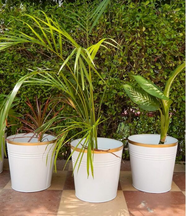 Home Decorate Modern Designer Metal Pot for Luxury Home Decor Indoor Outdoor Planter Luxury Glossy White Round Pot with Golden Rim (Pack of 3)